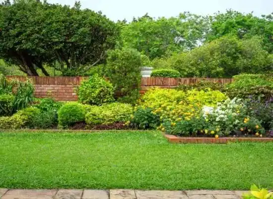 landscaping services Clear Lake